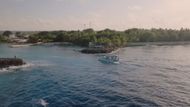 All The Sharks (Image via Netflix)